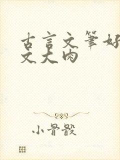 古言文笔好的宠文大肉