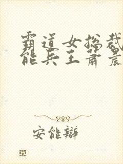 霸道女总裁的全能兵王萧晨