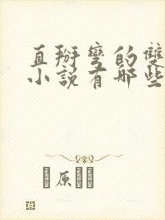 直掰弯的双男主小说有哪些