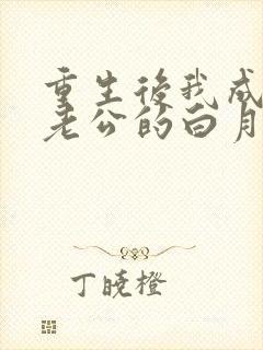 重生后我成了渣老公的白月光小说