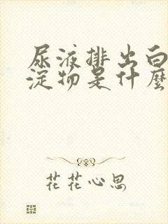 尿液排出白色沉淀物是什么原因