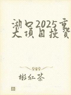 湖口2025重大项目投资前景