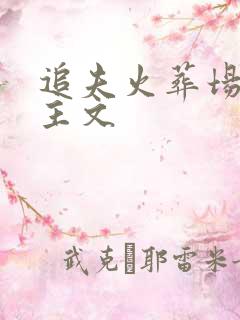 追夫火葬场双男主文