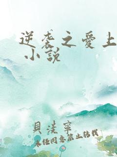 逆袭之爱上情敌 小说