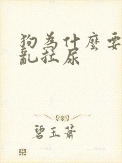 狗为什么要在家乱拉尿