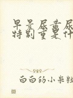 早晨尿黄尿骚味特别重是什么原因