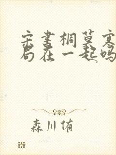 宋书桐莫寒城结局在一起吗