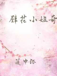 壁花小姐奇遇记