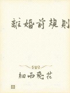 离婚前规则歌曲