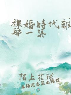 裸婚时代离婚是哪一集