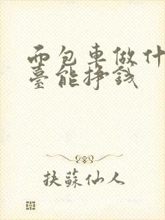 面包车做什么平台能挣钱