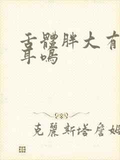 舌体胖大有齿痕耳鸣