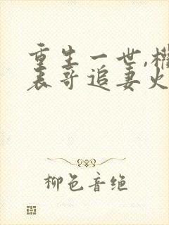 重生一世,权臣表哥追妻火葬场了