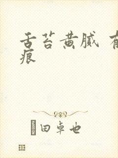 舌苔黄腻 有齿痕