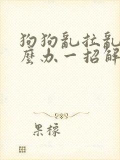 狗狗乱拉乱尿怎么办一招解决