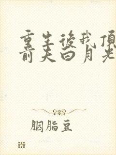 重生后我顶替了前夫白月光最新章