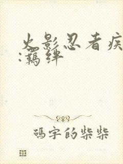 火影忍者疾风传:羁绊