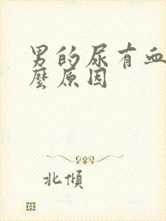 男的尿有血是什么原因