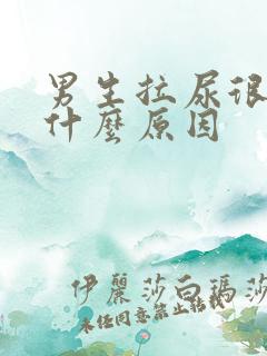 男生拉尿很臭是什么原因