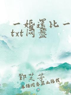 一婚还比一婚高txt网盘