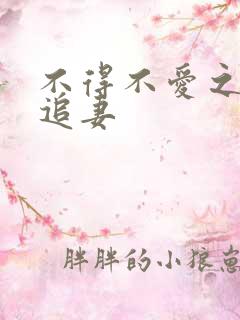 不得不爱之冷少追妻