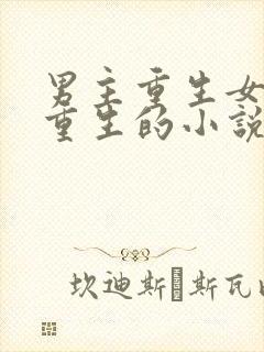 男主重生女主没重生的小说