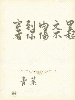 穿到肉文里的作者你伤不起