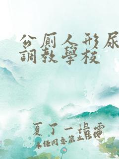 公厕人形尿便器调教学校