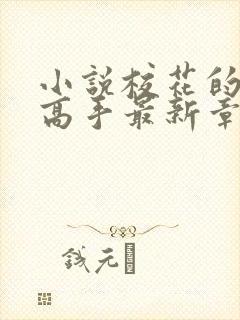 小说校花的贴身高手最新章节阅读