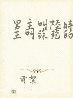 男主叫陆时宴女主叫苏菀的小说