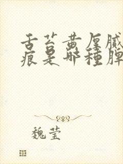 舌苔黄厚腻有齿痕是哪种脾虚