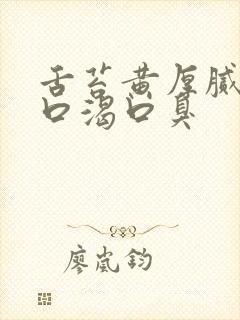 舌苔黄厚腻口干口渴口臭