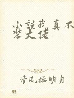 小说我真不是女装大佬