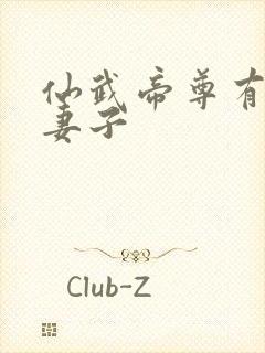 仙武帝尊有几个妻子