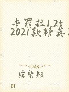 卡罗拉1.2t2021款精英版