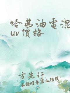 哈弗油电混动suv价格