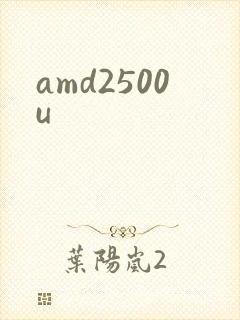 amd2500u