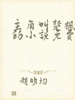 主角叫楚枫念念的小说免费阅读