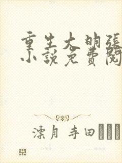 重生大明张凡的小说免费阅读