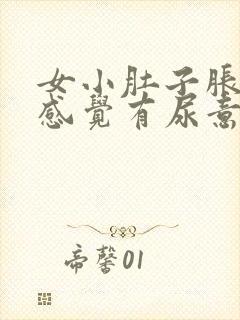 女小肚子胀老是感觉有尿意尿不干净的药