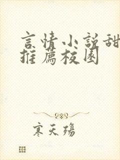 言情小说甜宠文推荐校园