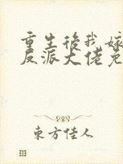 重生后我嫁给了反派大佬免费阅读