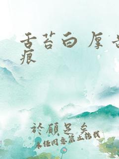 舌苔白 厚 齿痕