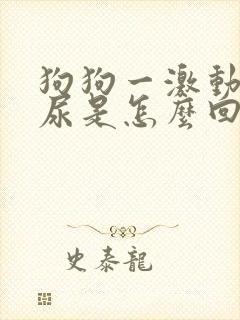 狗狗一激动就漏尿是怎么回事