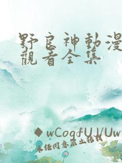 野良神动漫免费观看全集