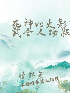 死神vs火影下载全人物版