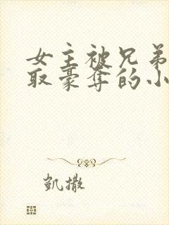 女主被兄弟俩强取豪夺的小说