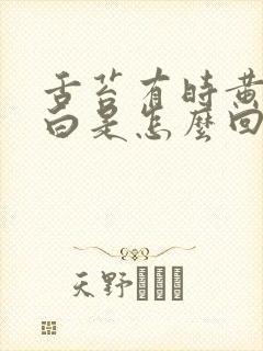 舌苔有时黄有时白是怎么回事