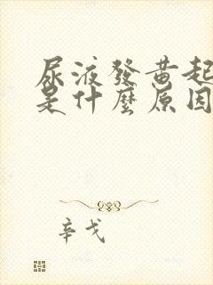 尿液发黄起泡沫是什么原因