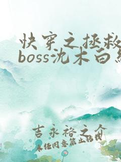 快穿之拯救黑化boss沈木白结局